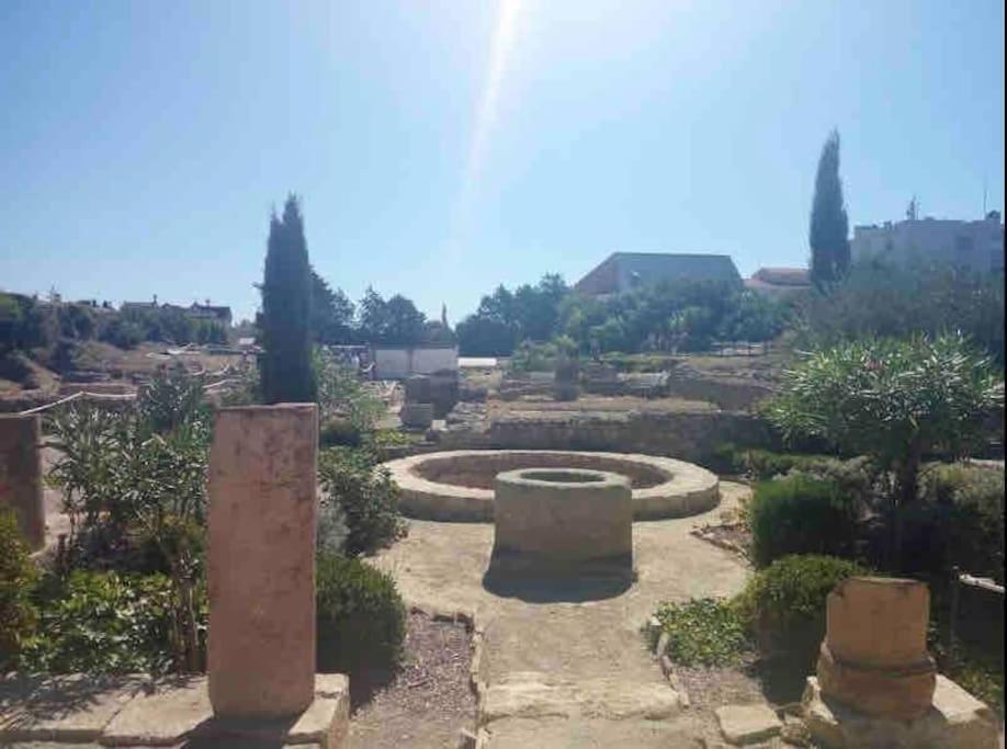 Soleil Sucre T2 Centre Historique De Narbonne Apartment Luaran gambar