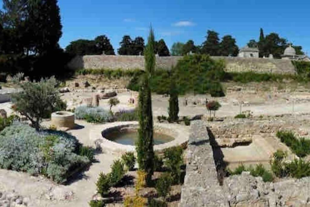 Soleil Sucre T2 Centre Historique De Narbonne Apartment Luaran gambar